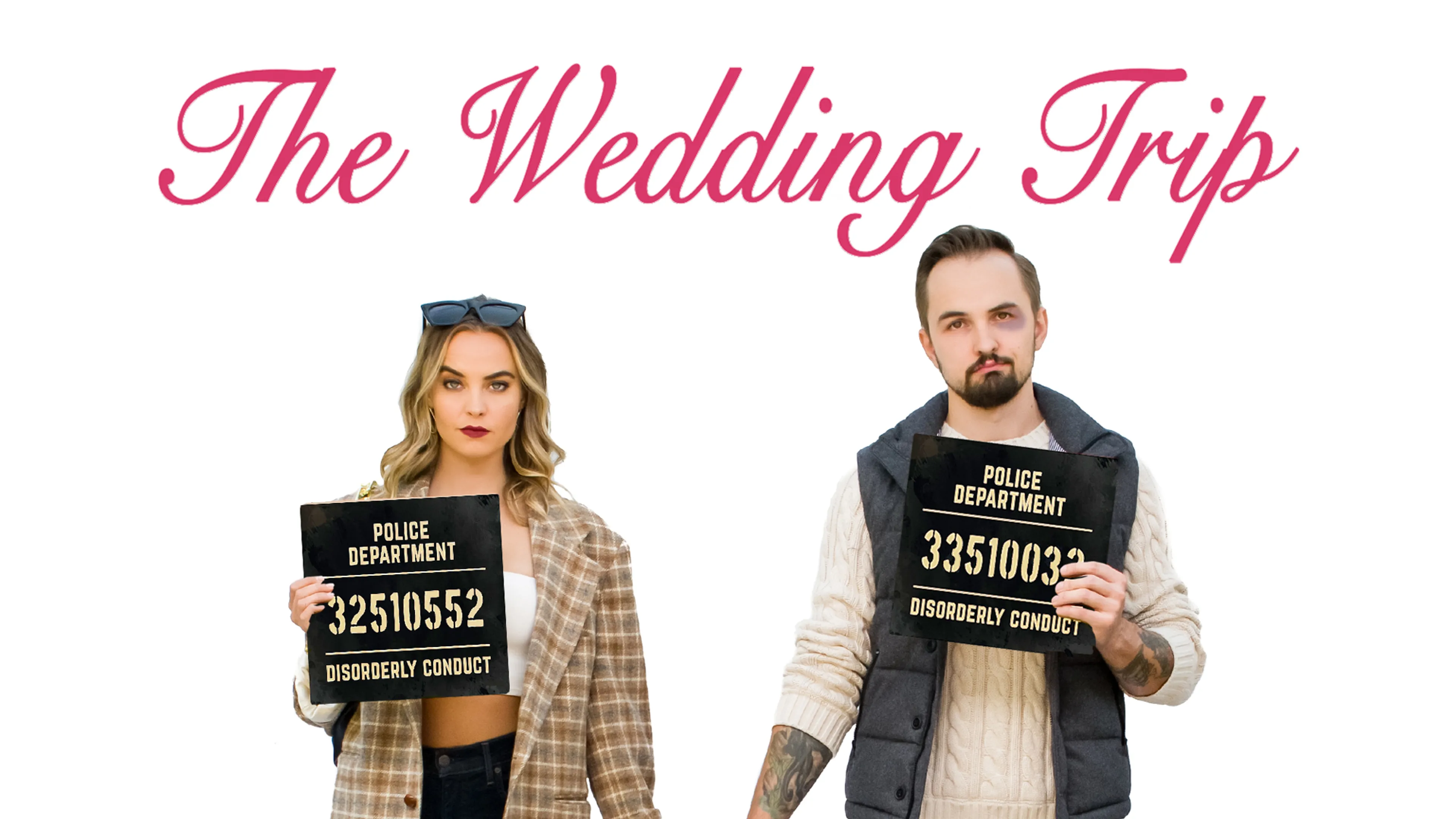 The Wedding Trip poster
